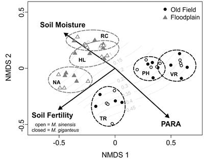 Lack of Impacts during Early Establishment Highlights a Short-Term Management Window for Minimizing Invasions from Perennial Biomass Crops